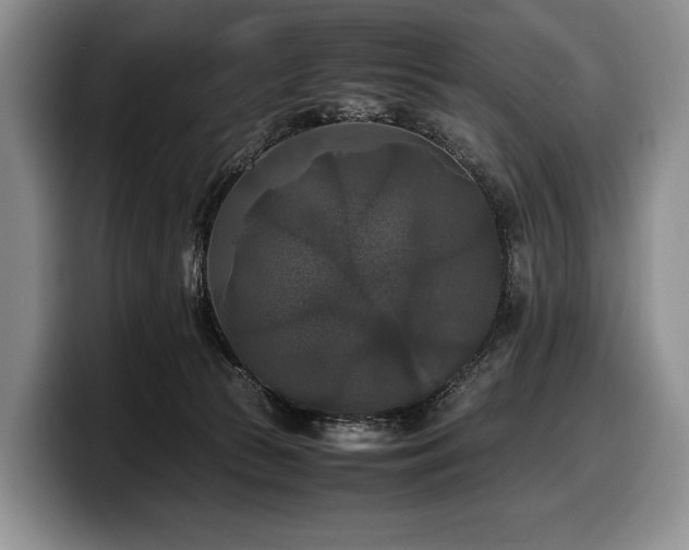 X0000100310177200806051503