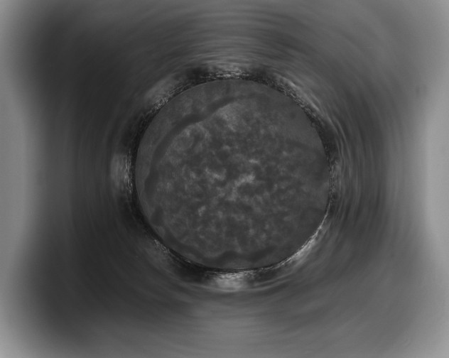 X0000100310178200806051503