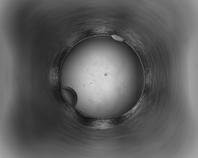 X0000100310179200806051503