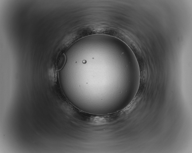 X0000100310180200806051503