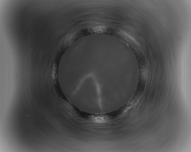X0000100310181200806051503