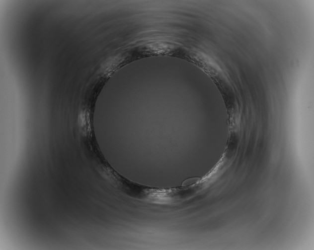 X0000100310182200806051504