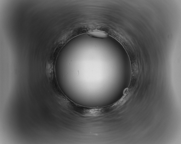 X0000100310184200806051504