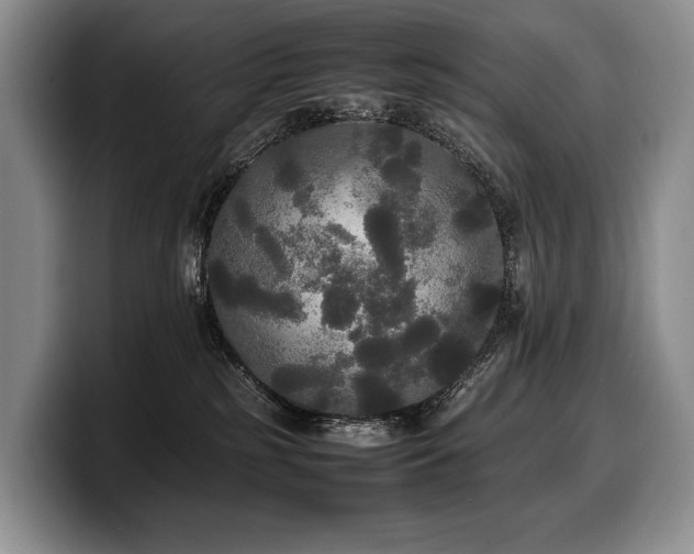 X0000100310185200806051504