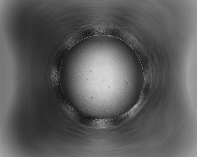 X0000100310186200806051504