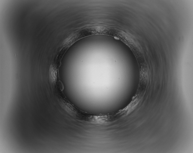 X0000100310188200806051504