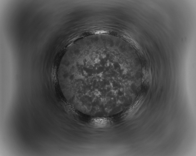 X0000100310189200806051504