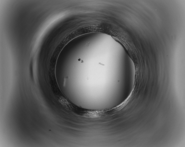 X0000100310190200806051504
