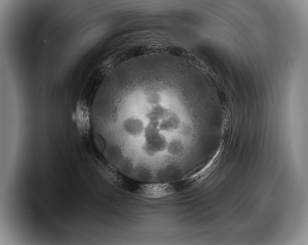 X0000100310191200806051504