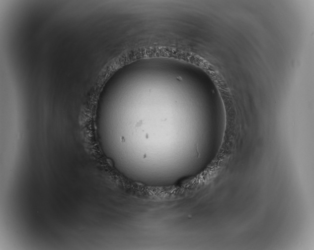 X0000100310192200806051504