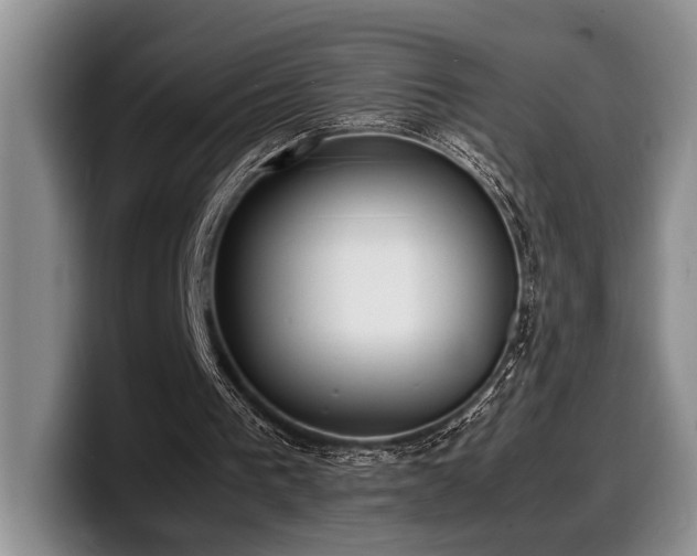 X0000100310193200806051503