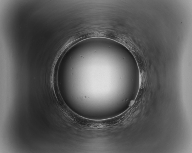 X0000100310195200806051503