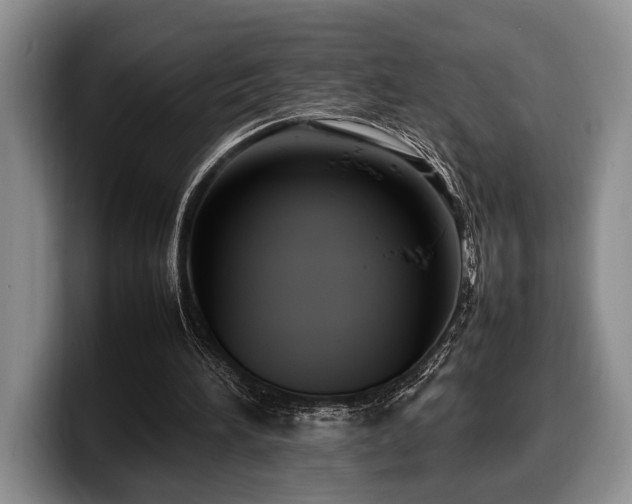 X0000100310196200806051503