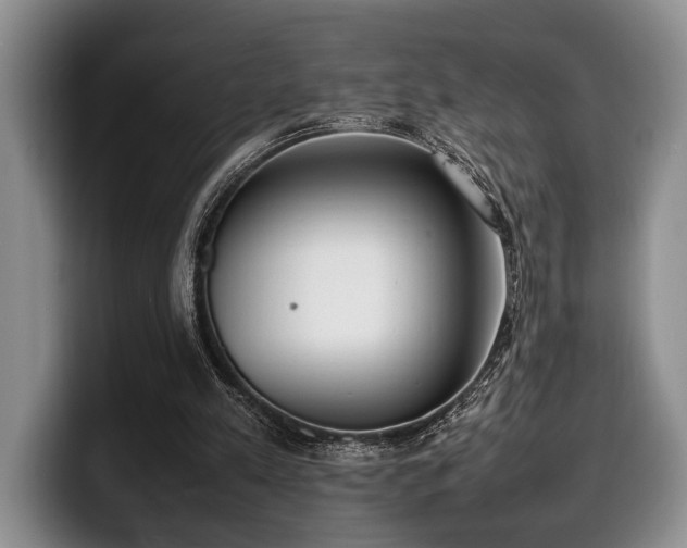X0000100310197200806051503