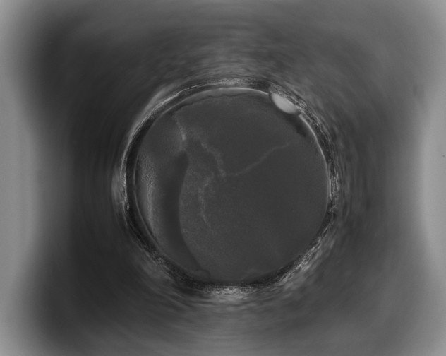 X0000100310198200806051503