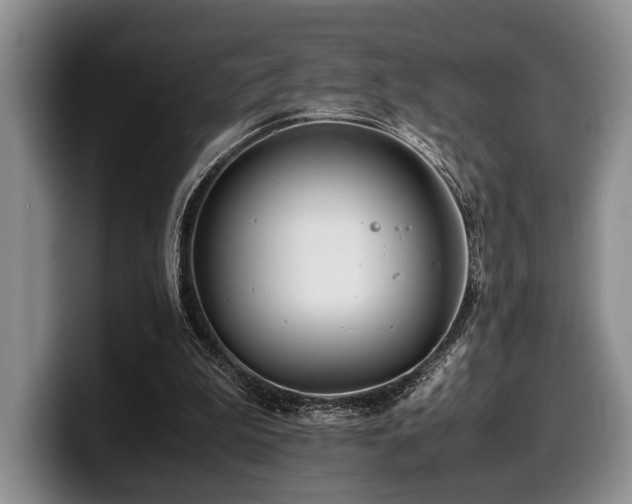 X0000100310199200806051503