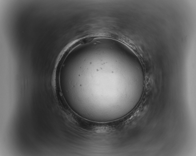 X0000100310200200806051503