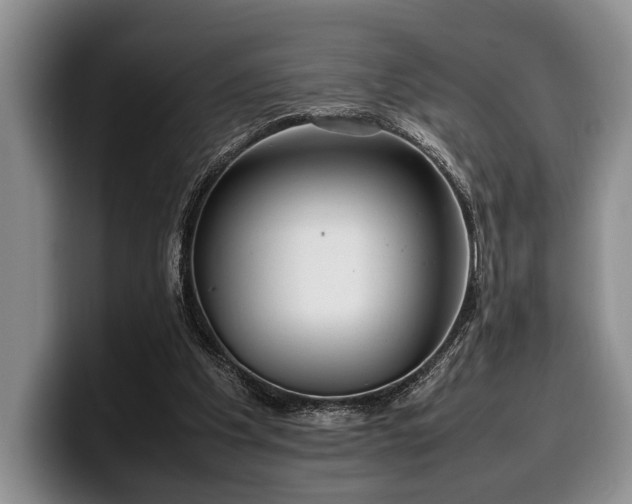 X0000100310201200806051503