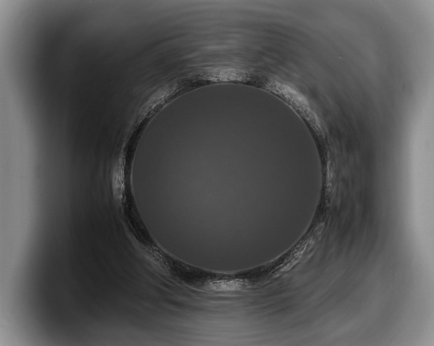 X0000100310202200806051503