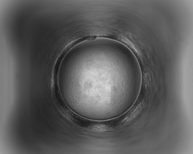 X0000100310203200806051503