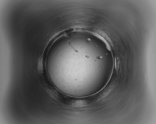 X0000100310204200806051503