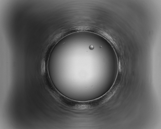 X0000100310205200806051503