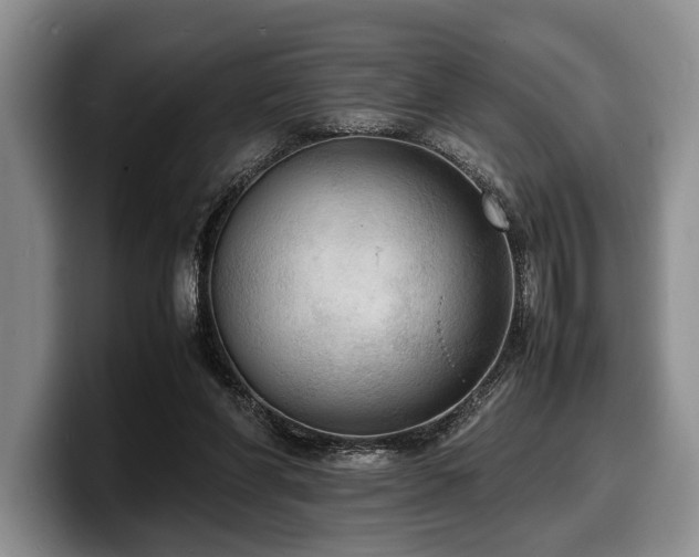 X0000100310206200806051503