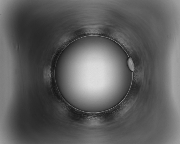 X0000100310207200806051503