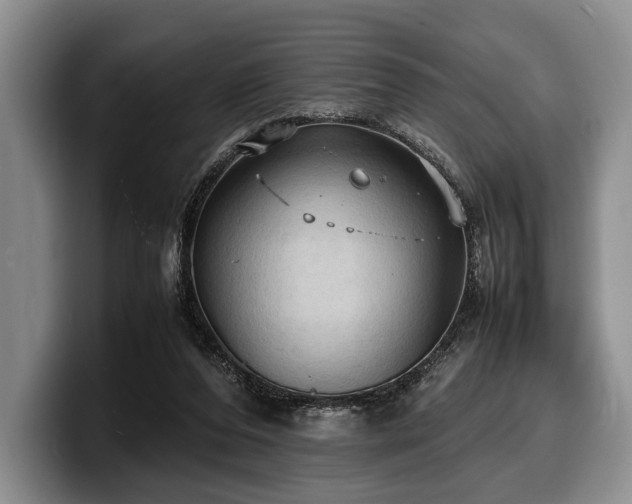 X0000100310208200806051503