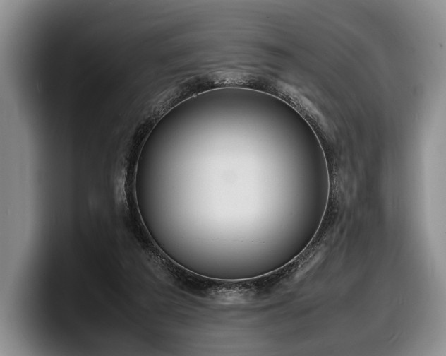 X0000100310209200806051503