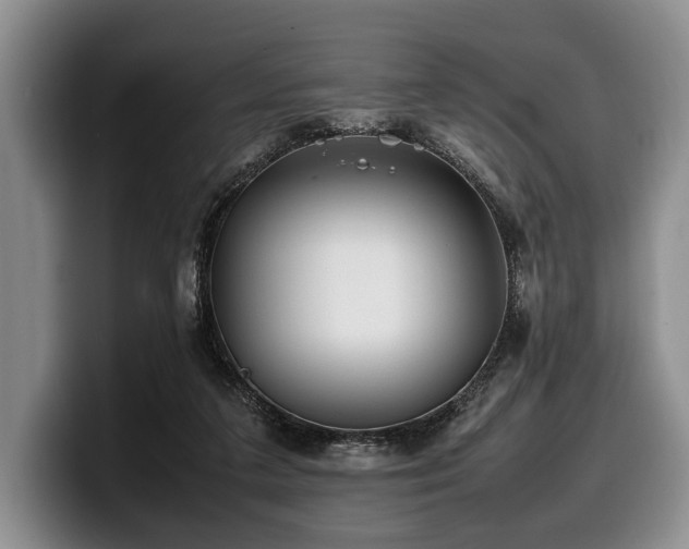 X0000100310211200806051503