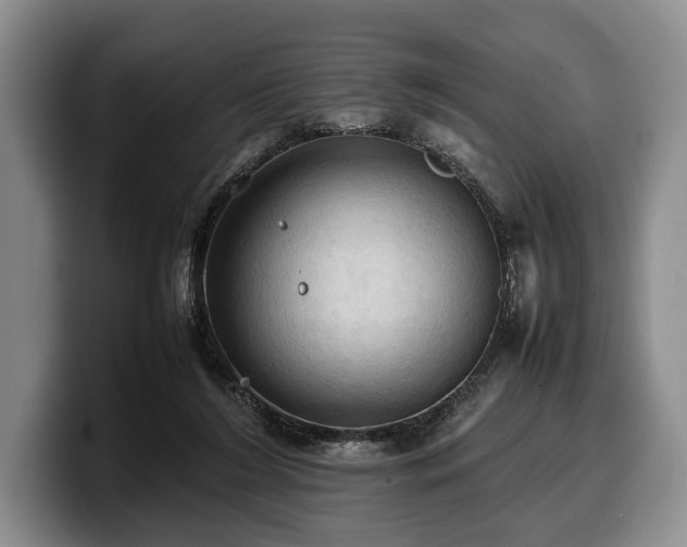 X0000100310212200806051503