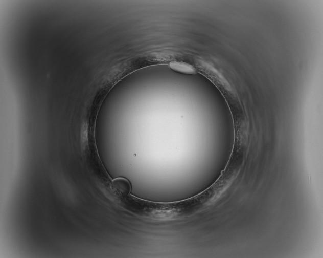 X0000100310213200806051503