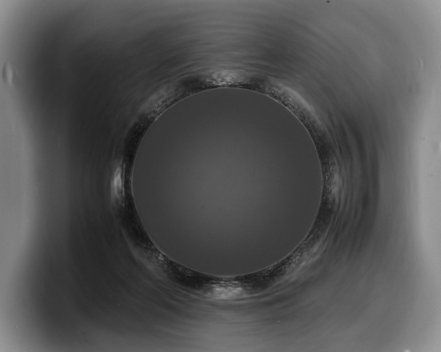 X0000100310214200806051503