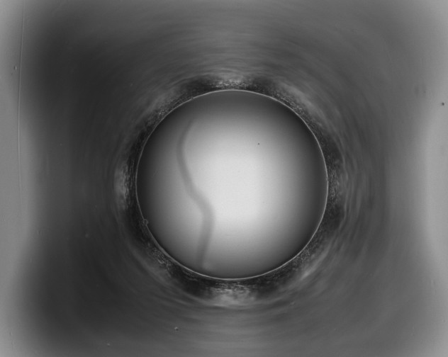X0000100310215200806051503