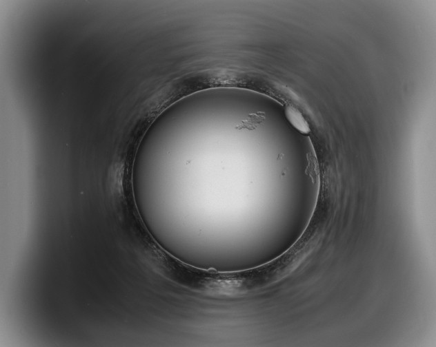 X0000100310217200806051503