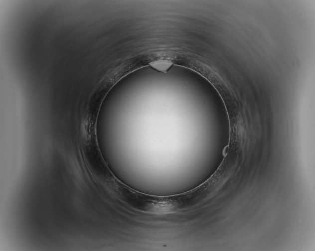 X0000100310218200806051503
