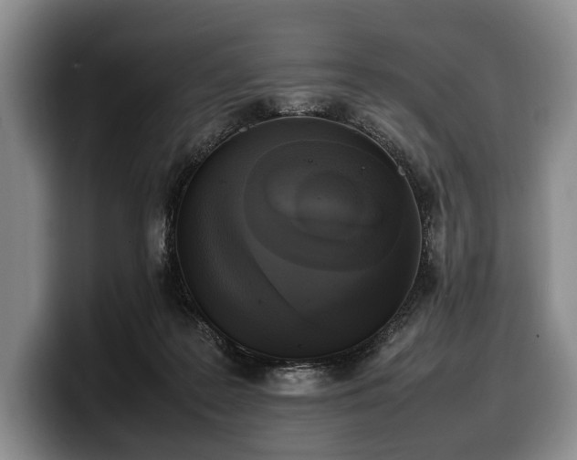 X0000100310219200806051503