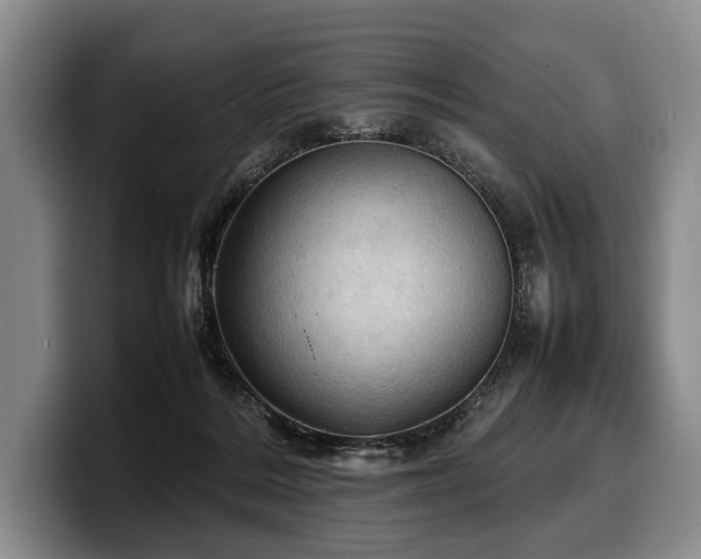 X0000100310220200806051503