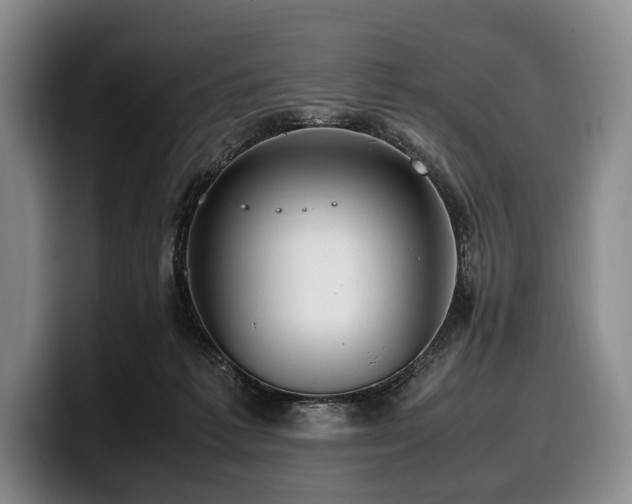X0000100310221200806051503