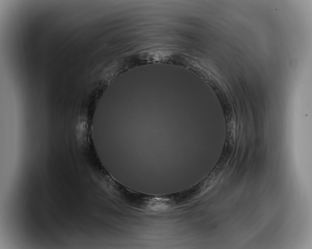 X0000100310222200806051503