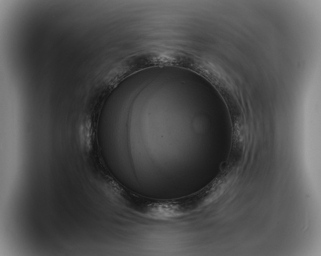 X0000100310223200806051503