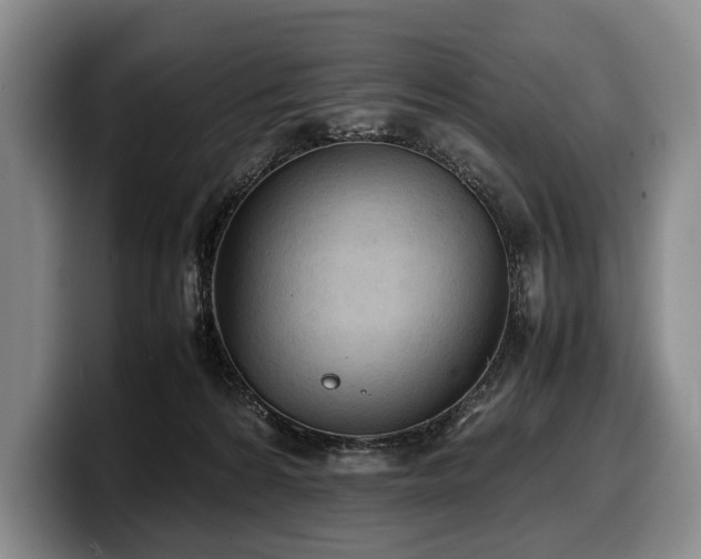 X0000100310224200806051503