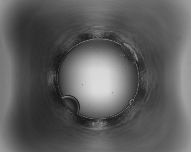 X0000100310225200806051503