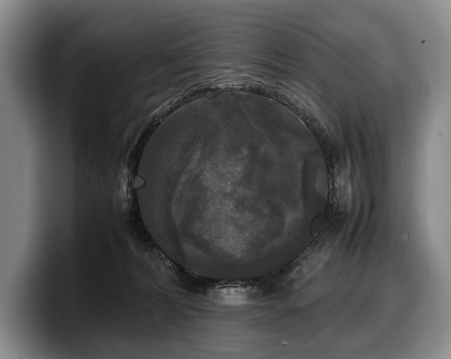 X0000100310228200806051503