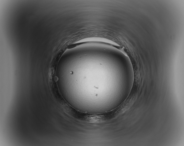 X0000100310229200806051503