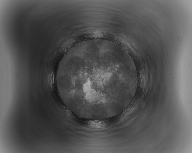 X0000100310230200806051503