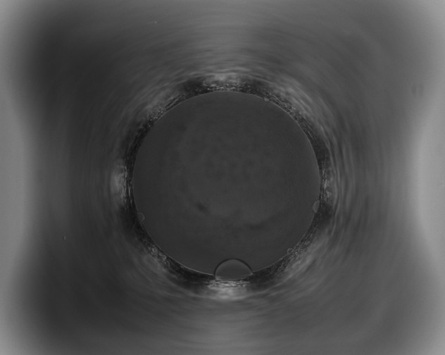 X0000100310231200806051502
