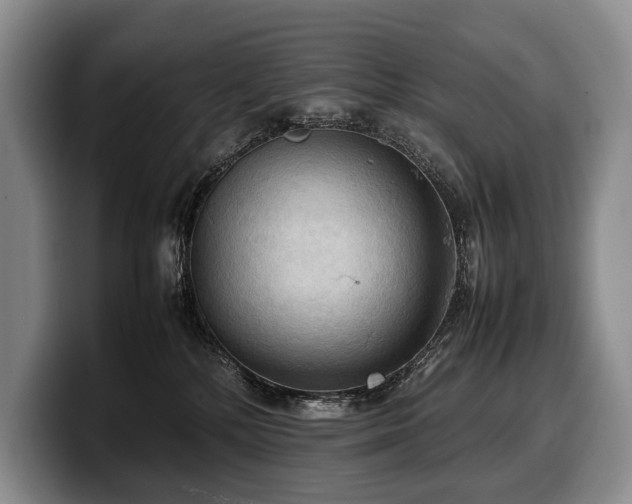 X0000100310232200806051502