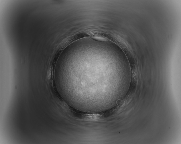 X0000100310233200806051502